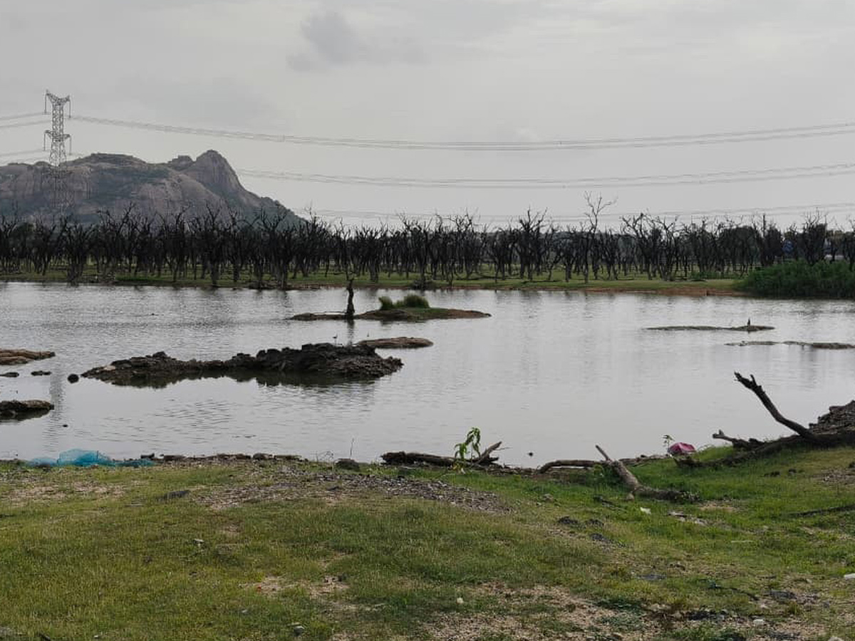 Best Photos of The Week in AP and Telangana Photo Gallery27