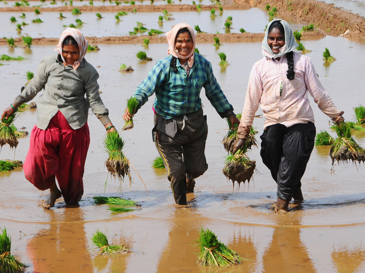 Best Photos of The Week in AP and Telangana Photo Gallery4