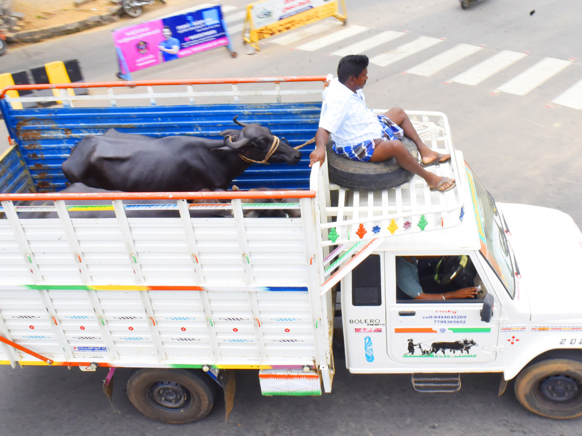Best Photos of The Week in AP and Telangana Photo Gallery34