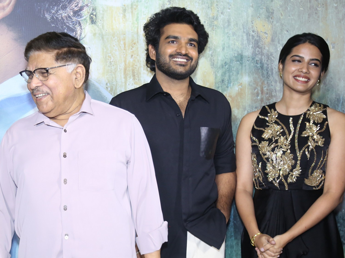 Chennai Love Story Trailer Launch Event Photos7