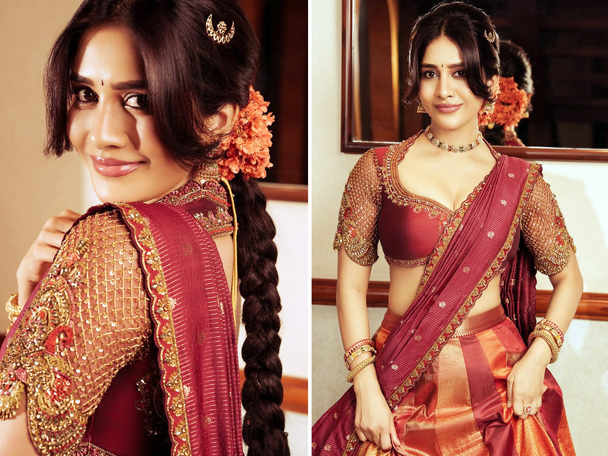 Nabha Natesh Stuns in a Gorgeous Traditional Silk Saree Photos1