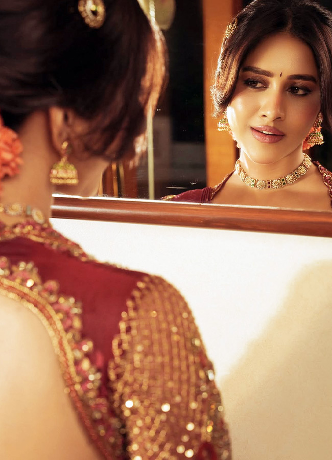 Nabha Natesh Stuns in a Gorgeous Traditional Silk Saree Photos10