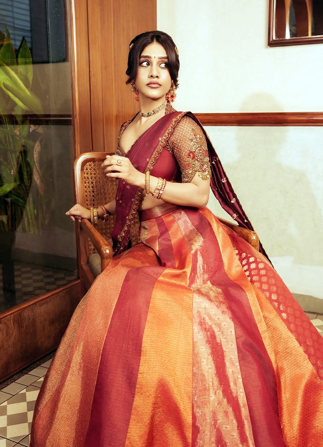 Nabha Natesh Stuns in a Gorgeous Traditional Silk Saree Photos11