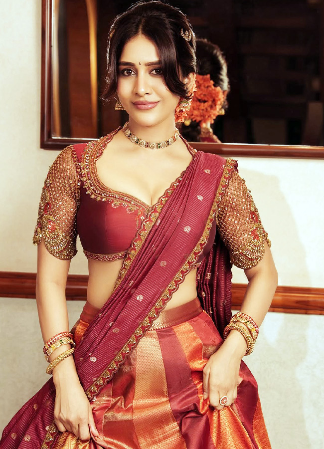 Nabha Natesh Stuns in a Gorgeous Traditional Silk Saree Photos2