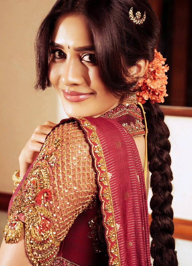 Nabha Natesh Stuns in a Gorgeous Traditional Silk Saree Photos4