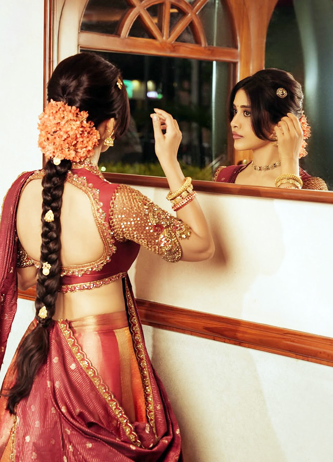 Nabha Natesh Stuns in a Gorgeous Traditional Silk Saree Photos6
