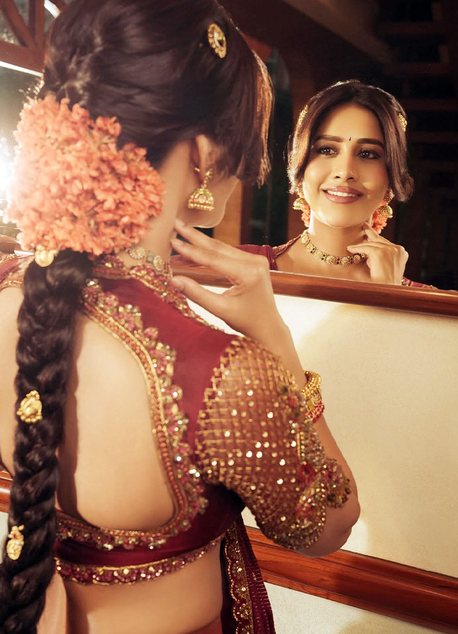 Nabha Natesh Stuns in a Gorgeous Traditional Silk Saree Photos8