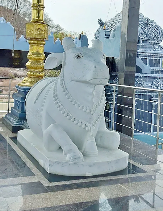 Devotional : Sri Venkateshwara Swamy Temple Kakatiya Hills16