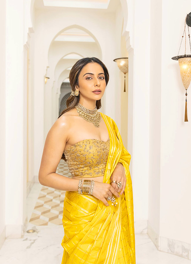 Rakul So Beautiful Photos13
