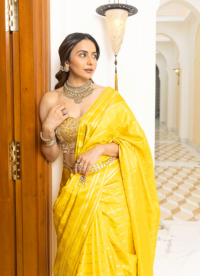 Rakul So Beautiful Photos3