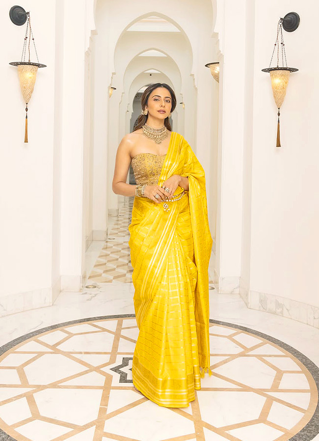 Rakul So Beautiful Photos9