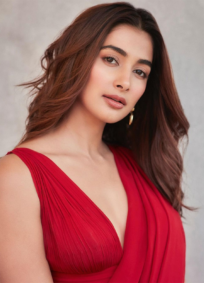 Jana Nayagan Movie : Actress Pooja Hegde Trending Photos3
