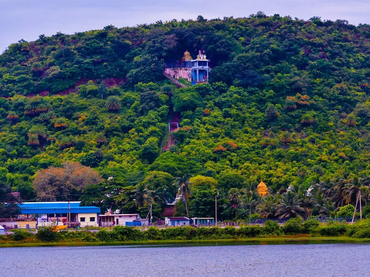 Devotional : Upamaka Sri Venkateswara Swamy Temple HD Photos26