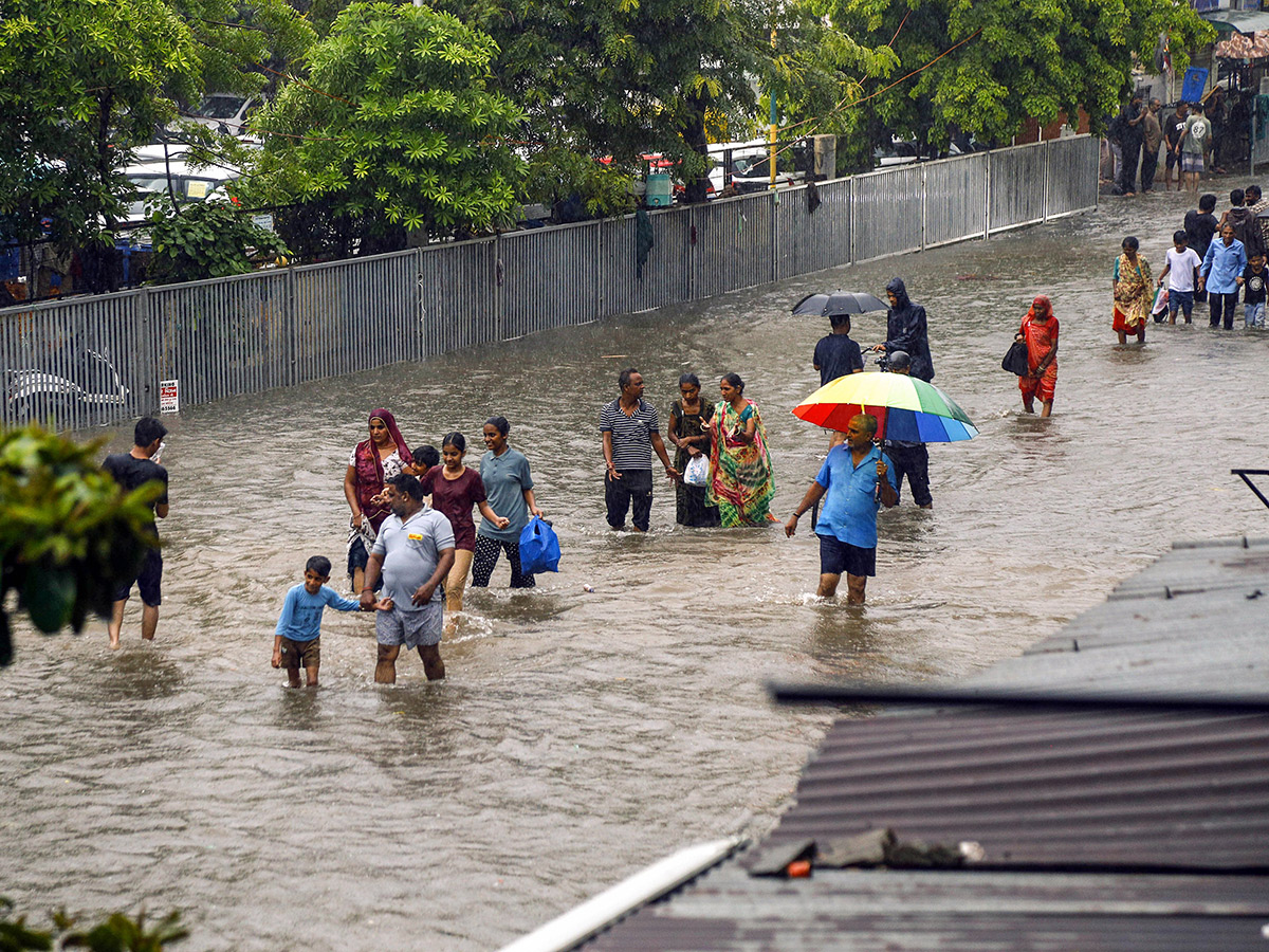 Rain havoc continues in South Gujarat Viral Photos11