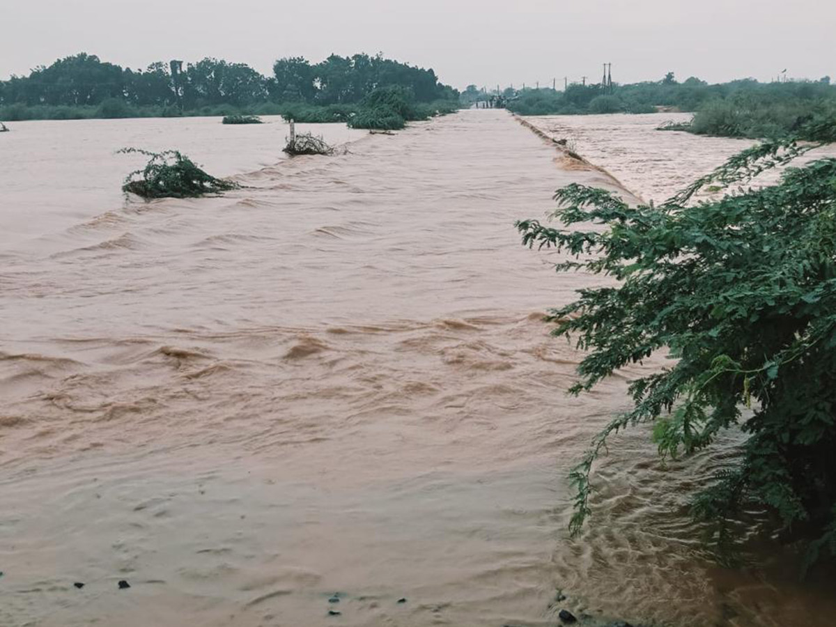 Rain havoc continues in South Gujarat Viral Photos5