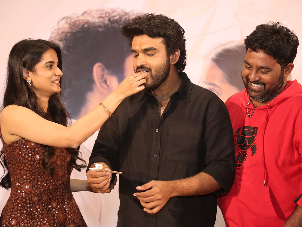 Chennai Love Story Blockbuster Success Meet HD Photos1