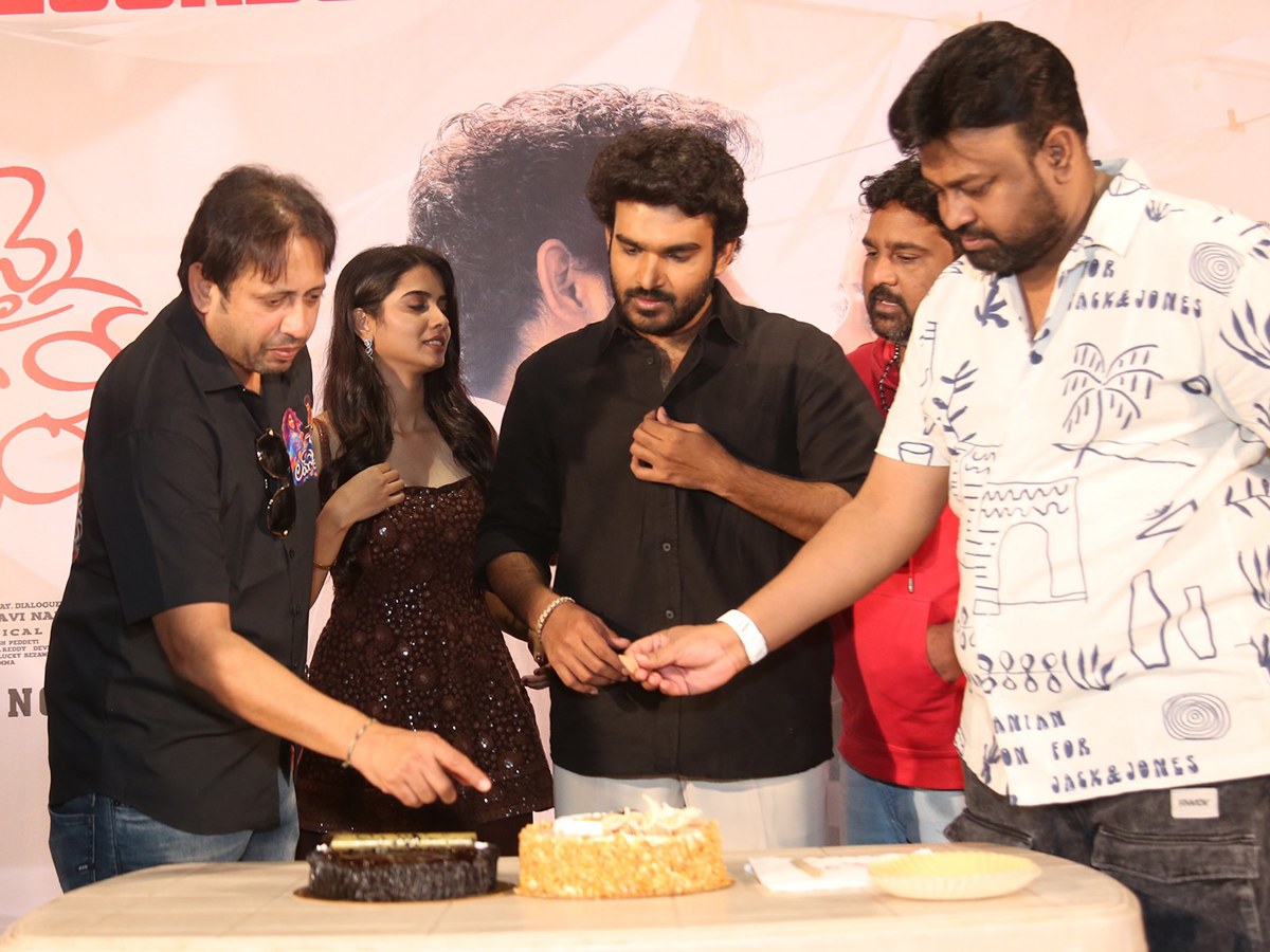 Chennai Love Story Blockbuster Success Meet HD Photos13
