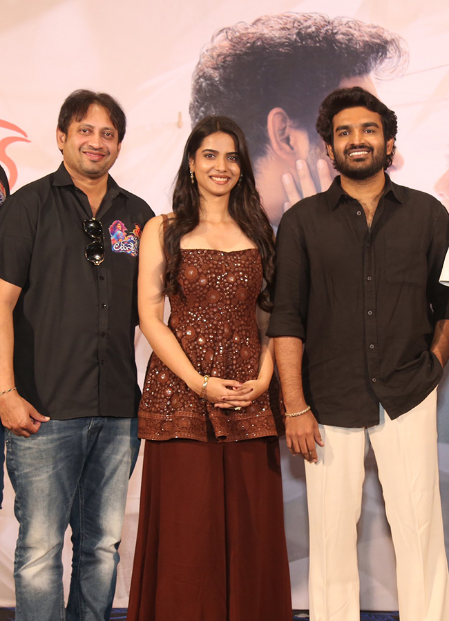 Chennai Love Story Blockbuster Success Meet HD Photos15