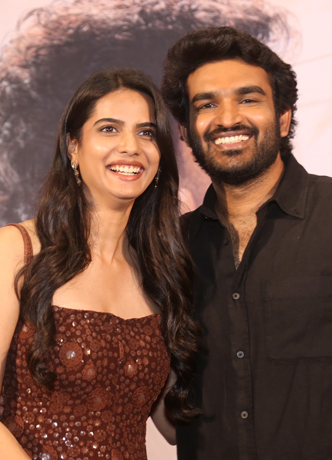 Chennai Love Story Blockbuster Success Meet HD Photos17