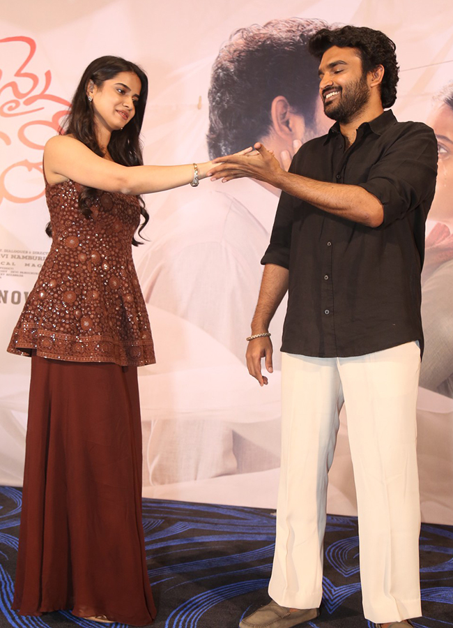 Chennai Love Story Blockbuster Success Meet HD Photos18