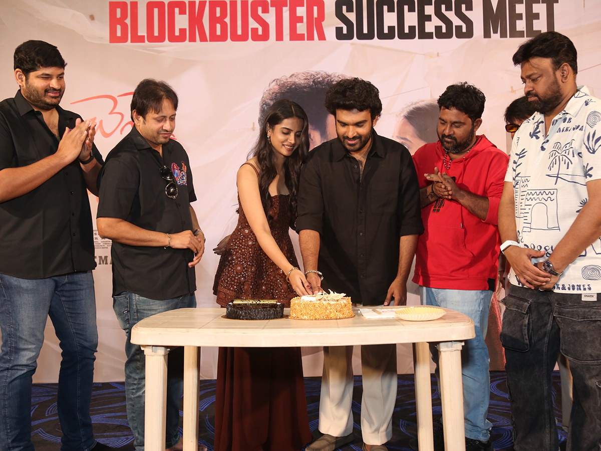 Chennai Love Story Blockbuster Success Meet HD Photos2