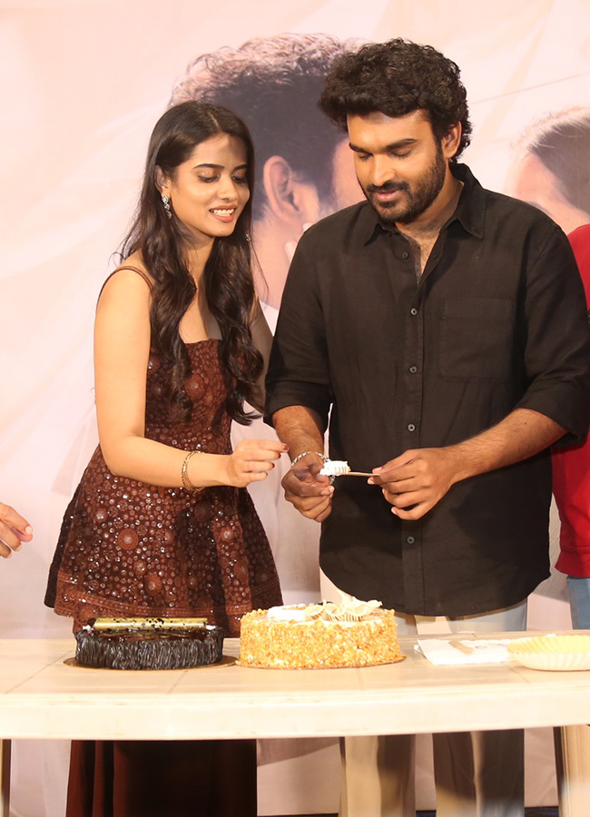 Chennai Love Story Blockbuster Success Meet HD Photos19