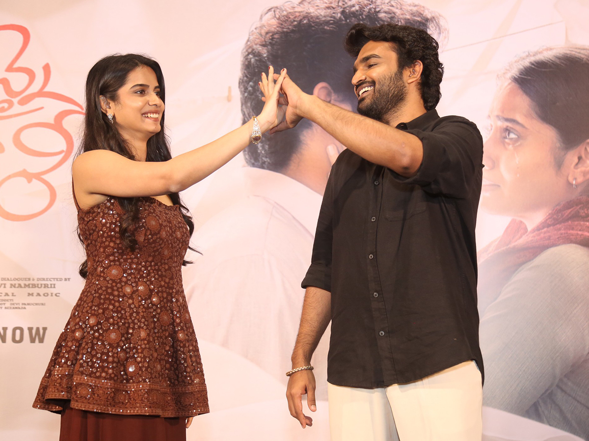 Chennai Love Story Blockbuster Success Meet HD Photos20