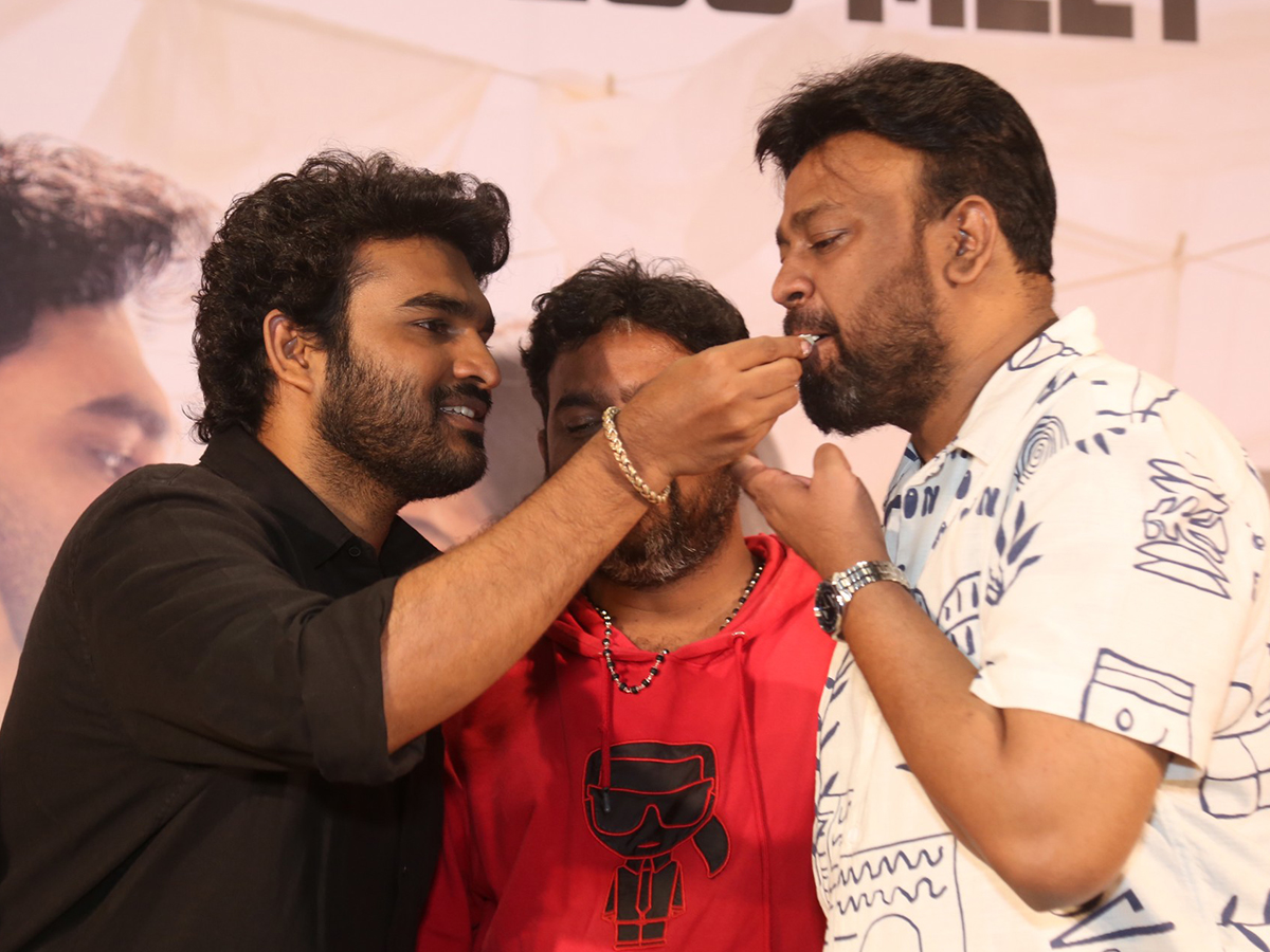 Chennai Love Story Blockbuster Success Meet HD Photos3