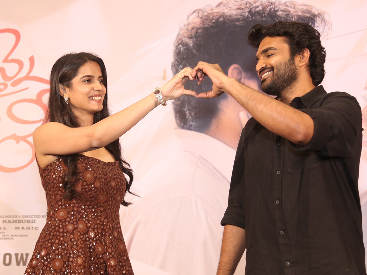 Chennai Love Story Blockbuster Success Meet HD Photos5