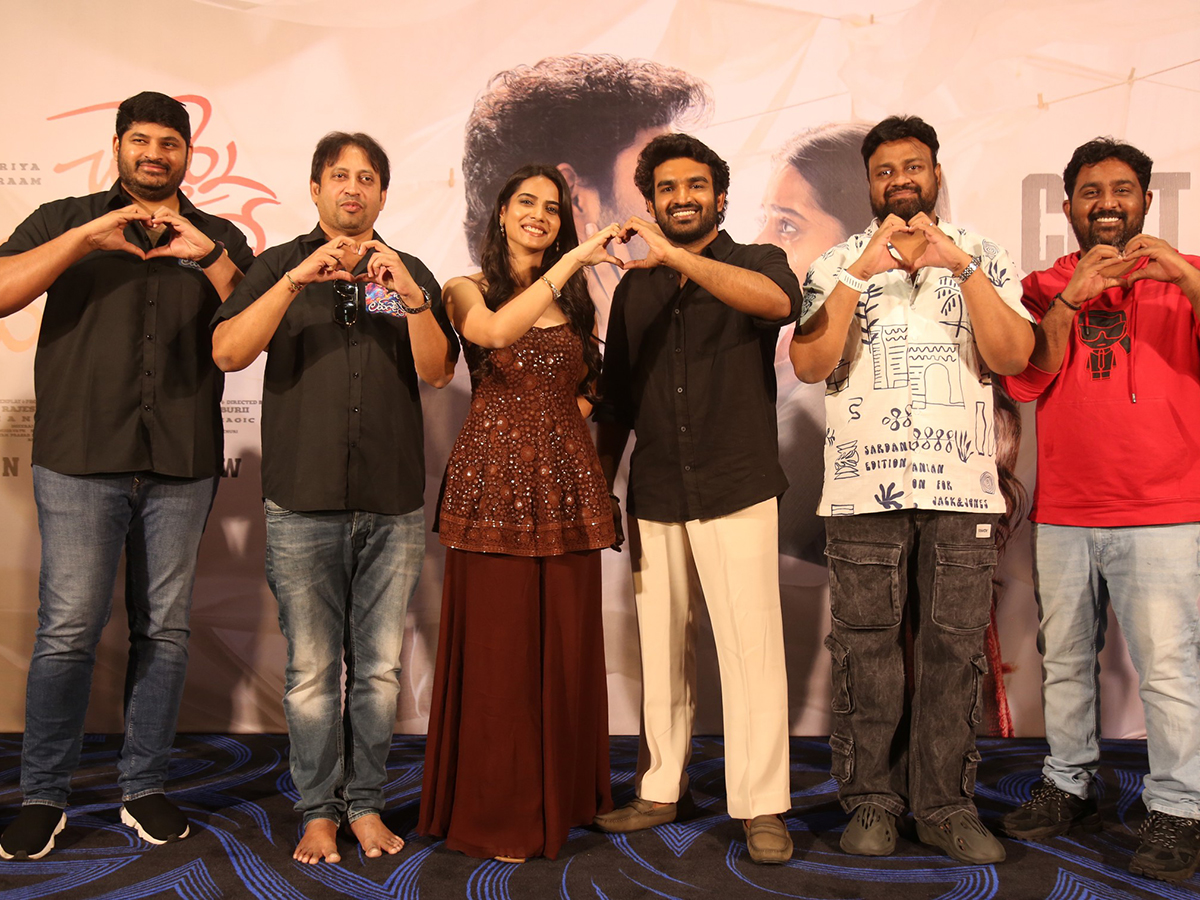 Chennai Love Story Blockbuster Success Meet HD Photos7
