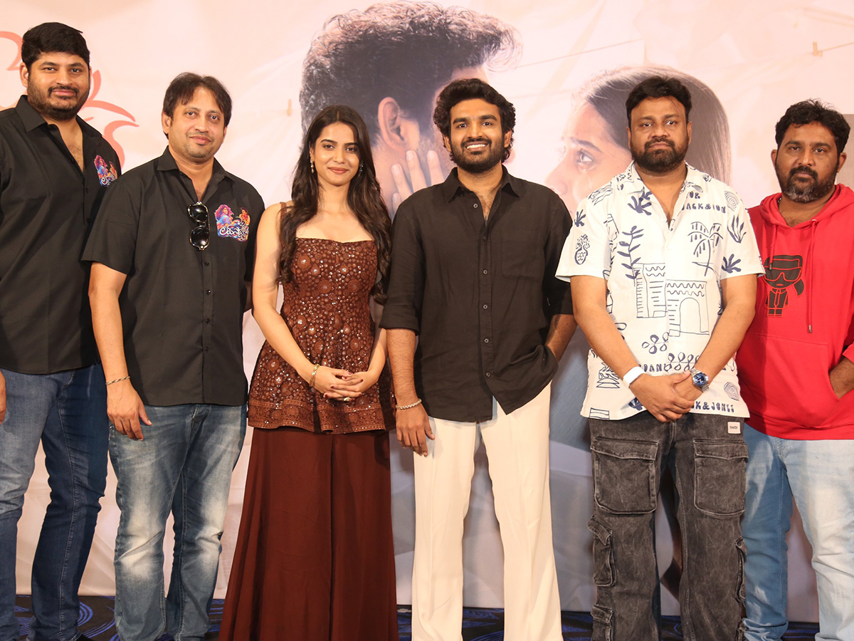 Chennai Love Story Blockbuster Success Meet HD Photos8