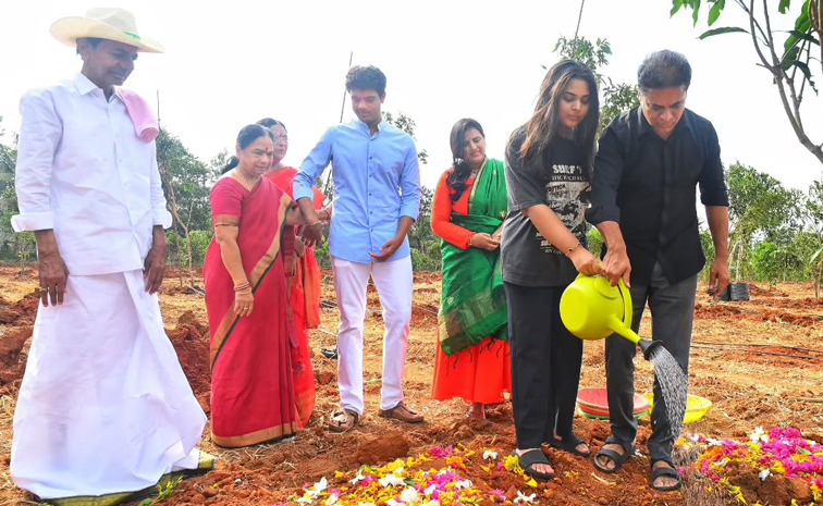 KTR Birthday Celebrations In KCR Farmhouse Photos8