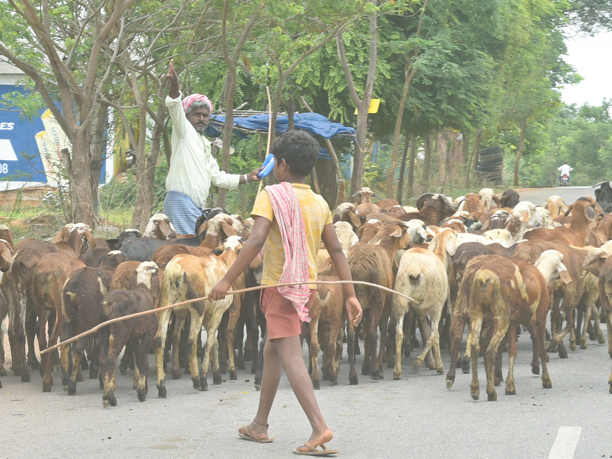 Best Photos of The Week in AP and Telangana Photo Gallery21