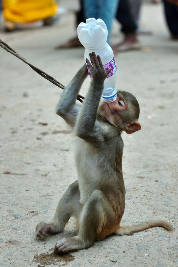Best Photos of The Week in AP and Telangana Photo Gallery27