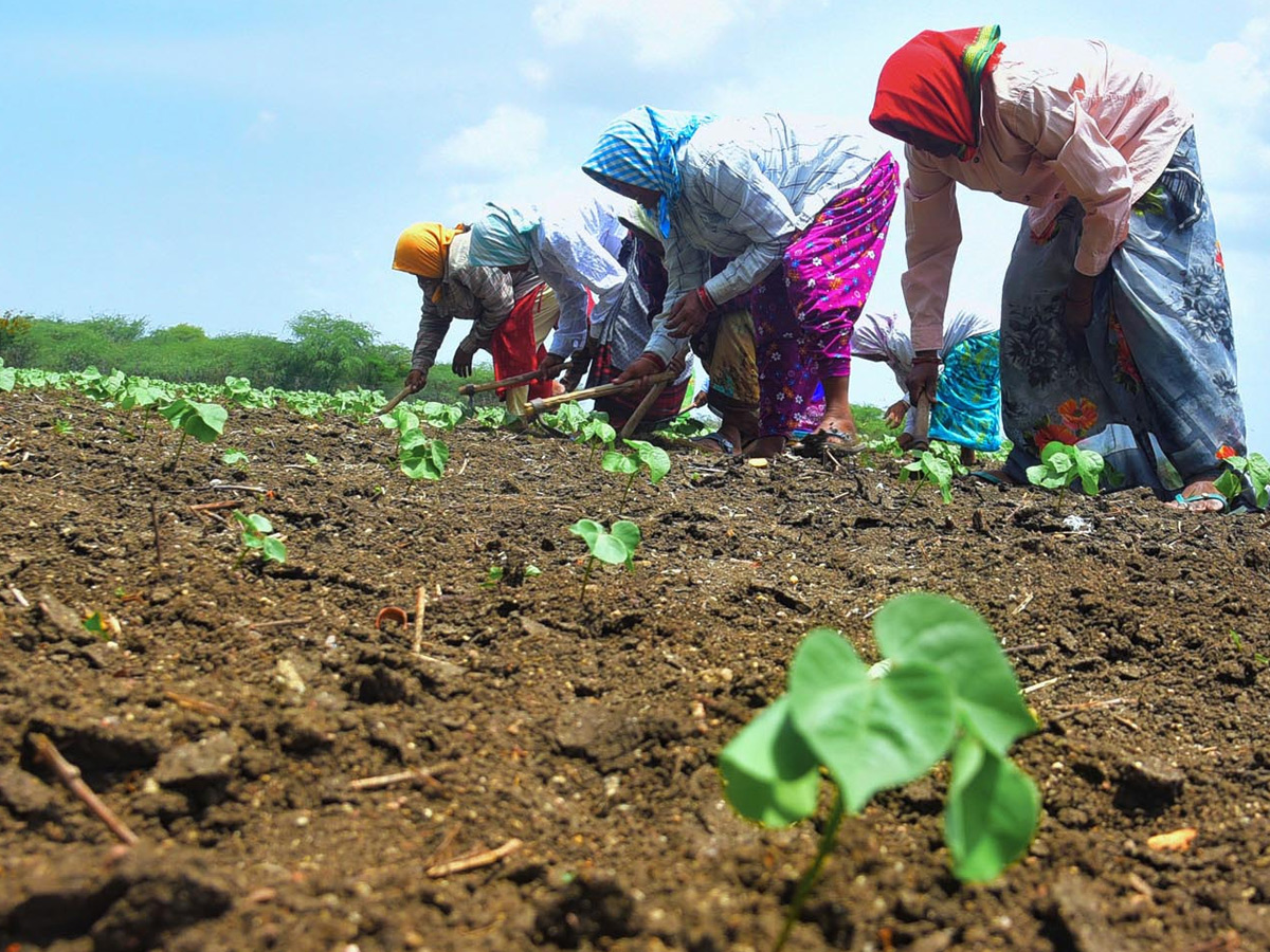 Best Photos of The Week in AP and Telangana Photo Gallery30