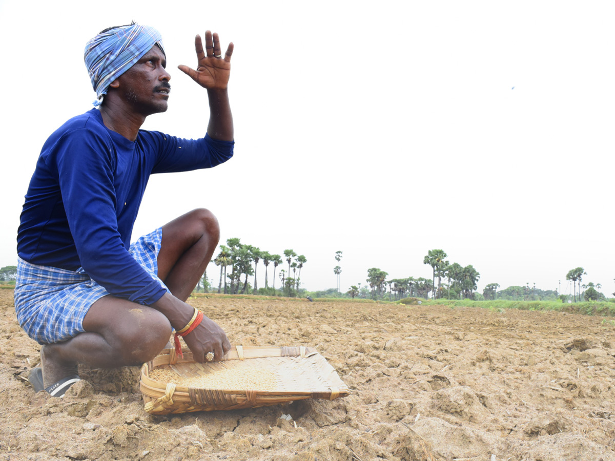 Best Photos of The Week in AP and Telangana Photo Gallery36