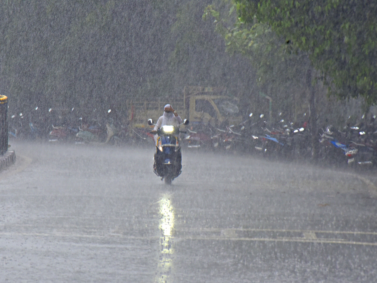 Best Photos of The Week in AP and Telangana Photo Gallery37