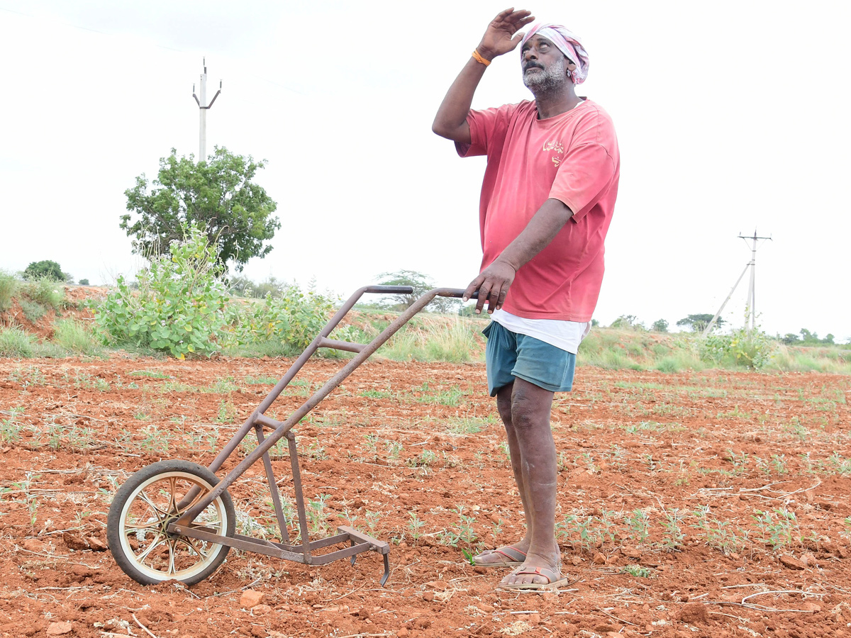 Best Photos of The Week in AP and Telangana Photo Gallery1