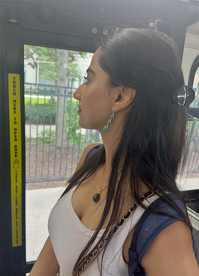 Actress Meenakshi Chaudhary America Trip Viral Photos12