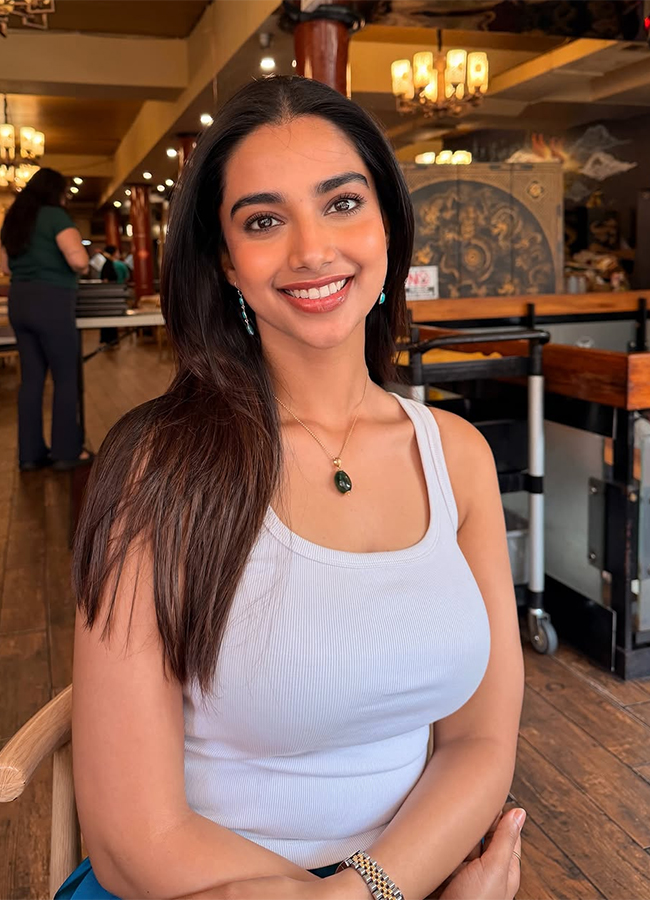 Actress Meenakshi Chaudhary America Trip Viral Photos15