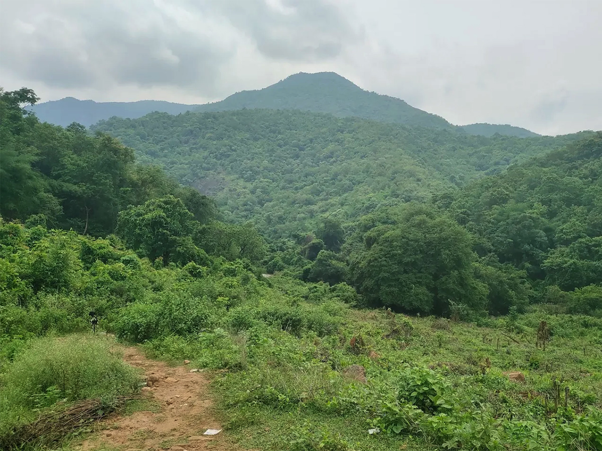 Devarapalli Waterfalls Visakhapatnam Andhra Pradesh: Photos4