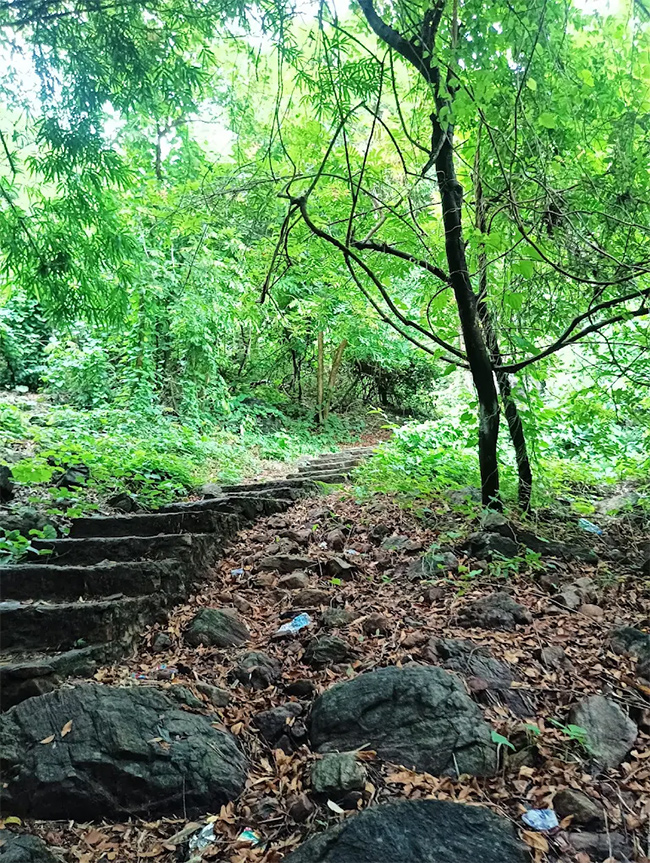 Devarapalli Waterfalls Visakhapatnam Andhra Pradesh: Photos9