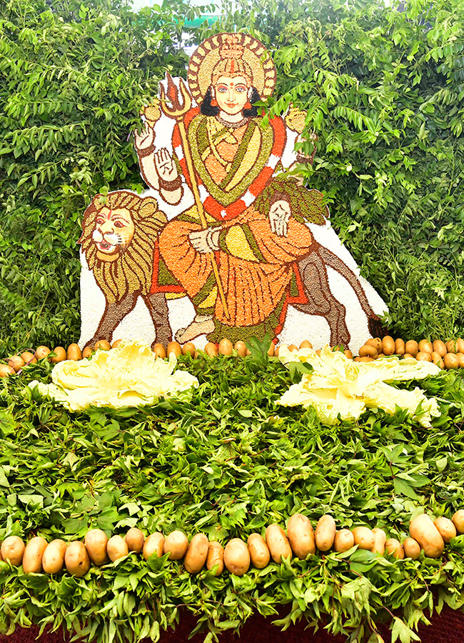 Devotional : Shakambari Utsavam at Indrakeeladri in Vijayawada20