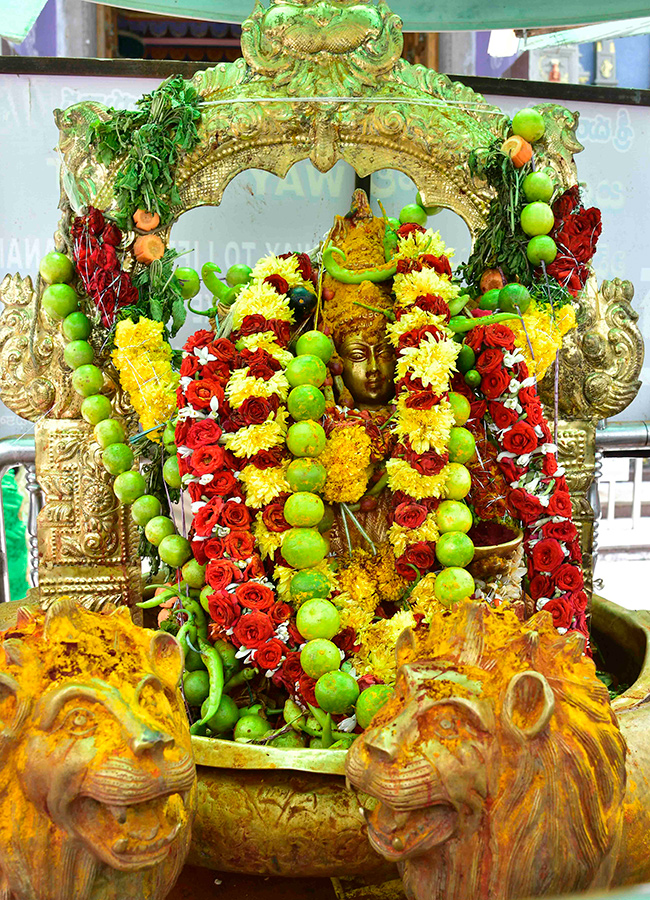 Devotional : Shakambari Utsavam at Indrakeeladri in Vijayawada21