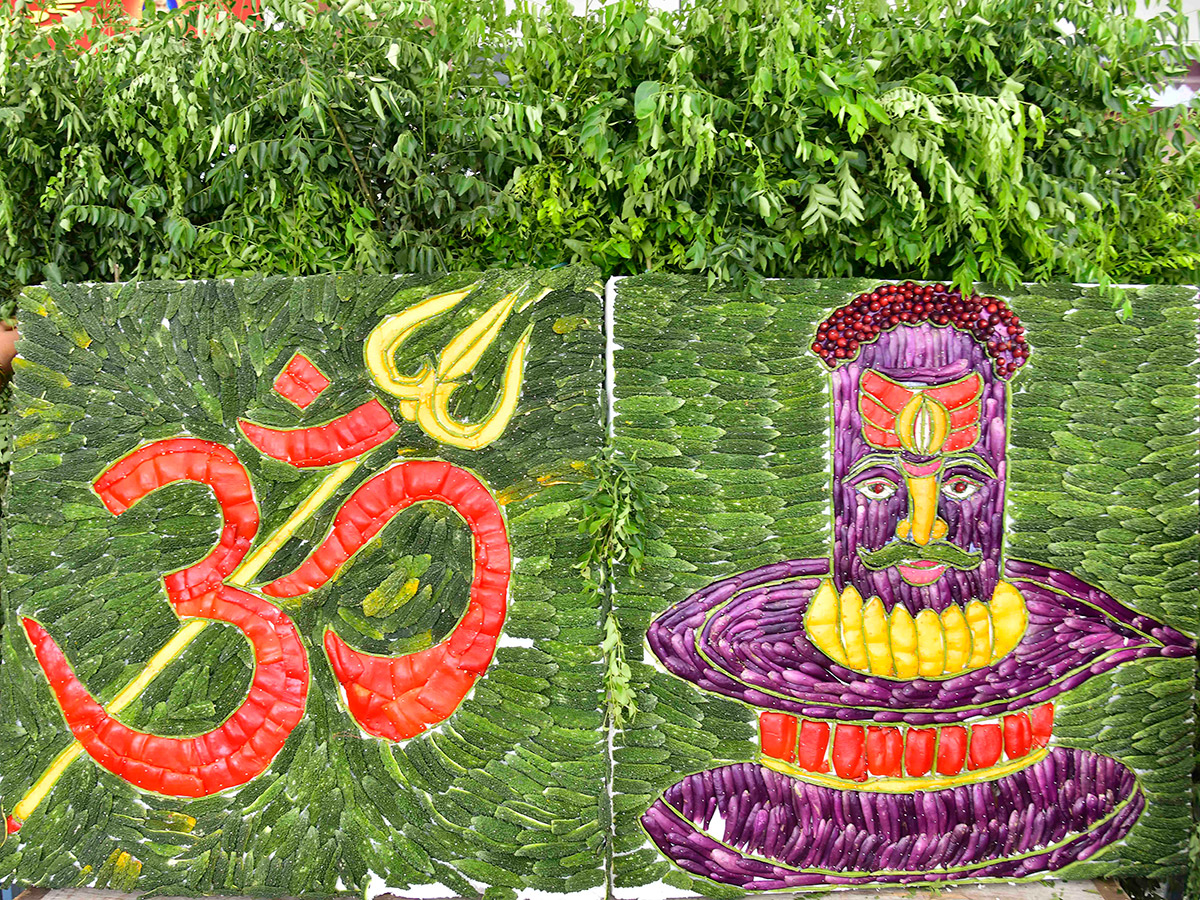 Devotional : Shakambari Utsavam at Indrakeeladri in Vijayawada23
