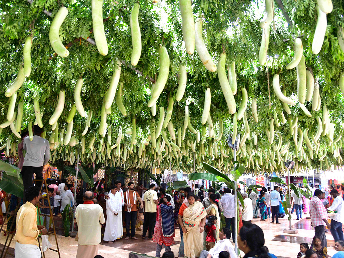 Devotional : Shakambari Utsavam at Indrakeeladri in Vijayawada25