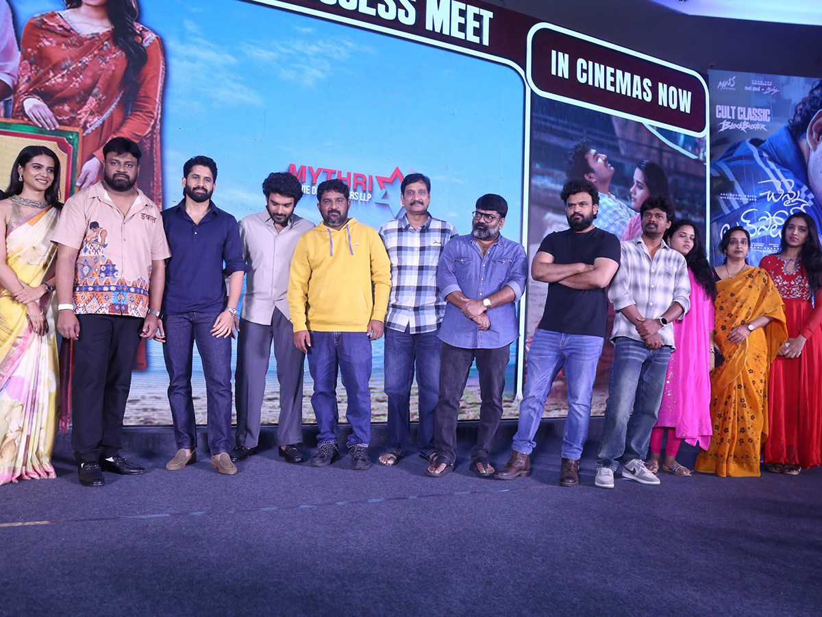 Chennai Love Story Grand Success Meet HD Photos15