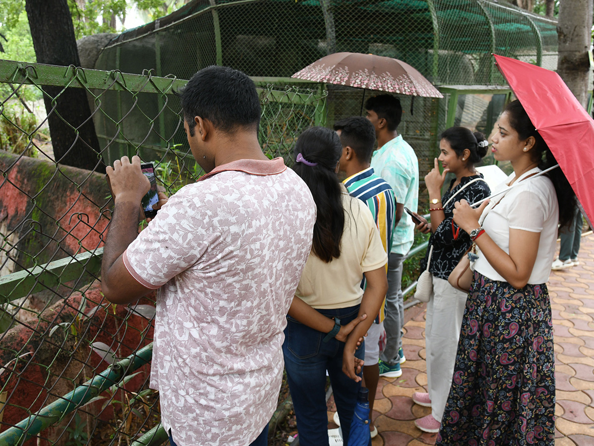 International Tiger Day Celebrated Grandly at the Zoo Park4