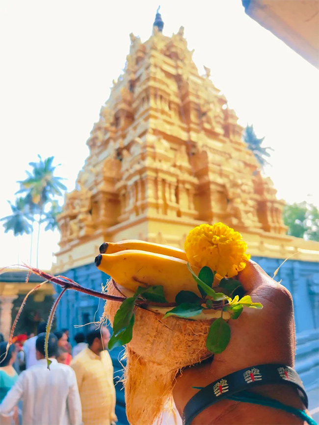 Sri Srungara Vallabha Swamy Temple Tirupati East Godavari 22