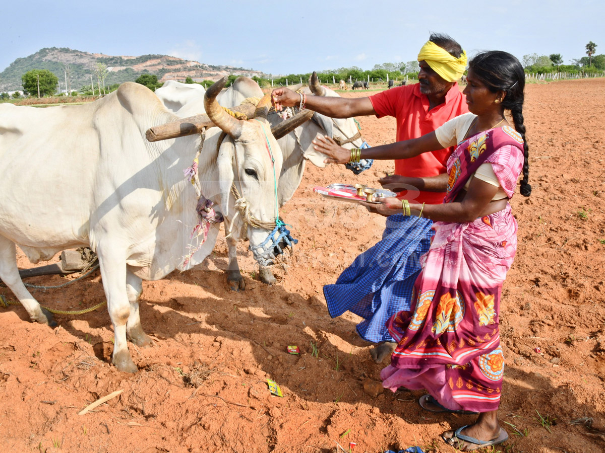 Best Photos of The Week in AP and Telangana Photo Gallery12